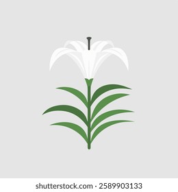A Flat-Style lily flower on a Plain White Background