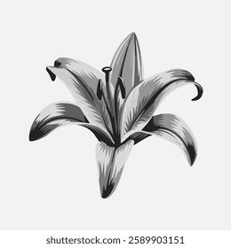 A Flat-Style lily flower on a Plain White Background