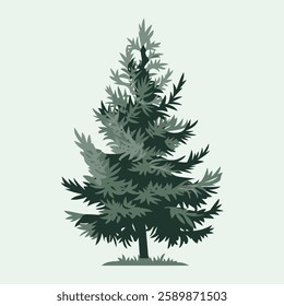 A Flat-Style Pine tree on a Plain White Background