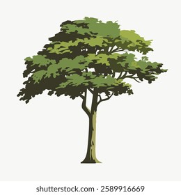 A Flat-Style tall tree on a Plain White Background