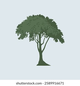 A Flat-Style tall tree on a Plain White Background