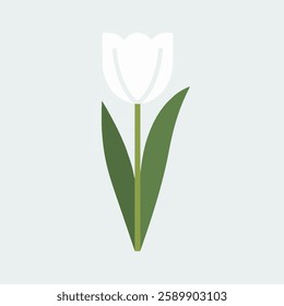 A Flat-Style tulip flower on a Plain White Background