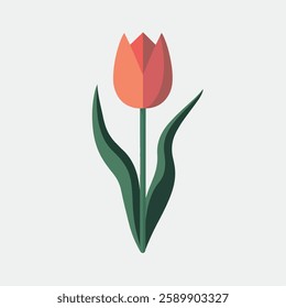 A Flat-Style tulip flower on a Plain White Background