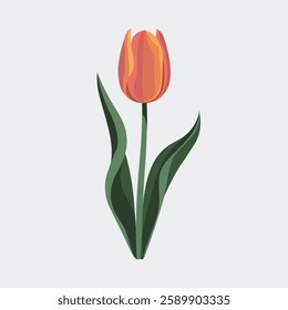 A Flat-Style tulip flower on a Plain White Background