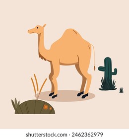 A flat-style vector illustration of a camel, with a few plant graphics surrounding it. This illustration is perfect for an Eid al-Adha animal theme