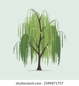 A Flat-Style willow tree on a Plain White Background