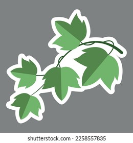 Flat-styled ivy leaves vector illustration sticker. Vector stock illustration. Sticker isolated. Ivy leaves illustration