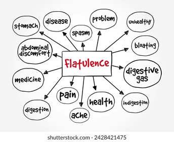 Flatulence is passing gas from the digestive system out of the back passage, mind map text concept background