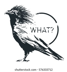 Flat,vector. Figure fantasy raven. Silhouette of the bird with big feathers.
