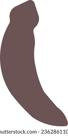 flatworm earthworm worm gardening bug
