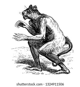 Flauros, great general in hell having face of terrible leopard and when he takes human form he wears a face frightful with fiery eyes, vintage engraved line art illustration. Infernal Dictionary 1863.