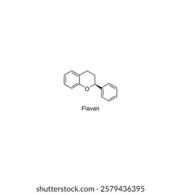 Flavan skeletal structure.Flavonoid compound schematic illustration. Simple diagram, chemical structure.