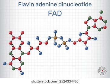 Dinucleótido de adenina flavínico, molécula de DCP Coenzima essencial redox-ativa envolvida na produção de energia e no metabolismo. Modelo de molécula. Folha de papel em uma gaiola. Ilustração vetorial