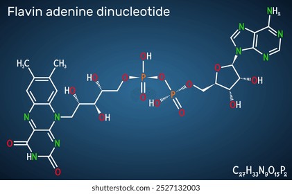 Dinucleótido de adenina flavínico, molécula de DCP Coenzima essencial redox-ativa envolvida na produção de energia e no metabolismo. Fórmula química estrutural, fundo azul escuro. Ilustração vetorial