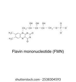 Mononucleotídeo de flavina, diagrama de estrutura esquelética FMN.Vitamina B2 molécula composto ilustração científica.