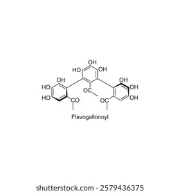 Flavogallonoyl skeletal structure.Tannin compound schematic illustration. Simple diagram, chemical structure.