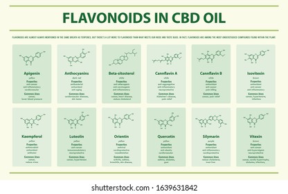 Flavonoids in CBD Oil with Structural Formulas horizontal infographic illustration about cannabis as herbal alternative medicine and chemical therapy, healthcare and medical science vector.