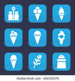 Flavor icon. set of 9 filled flavor icons such as deel, ice cream