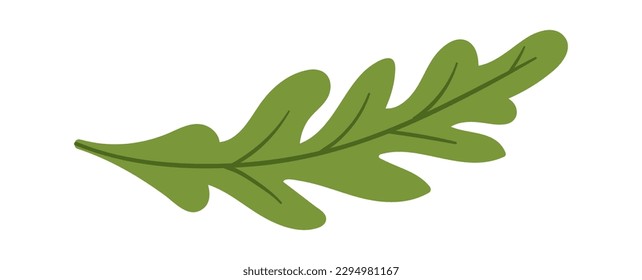 Flavorful leafy green herb Arugula plant. Vector illustration