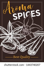 Flavoring spices chalk hand drawn poster template. Orchid flower and vanilla pods outline illustration. Flavoring cinnamon sticks sketch. Condiments, cooking ingredients store banner