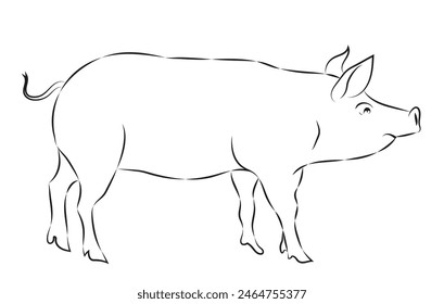 A flawlessly drawn pig line drawing in Adobe Illustrator features soft curves and a clear creative expression.