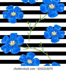 Flax blue flowers. Seamless pattern. Vector illustration. Design for herbal tea, health care products, natural cosmetics, perfumery, essential oil, black and white stripes background, wrapping, prints
