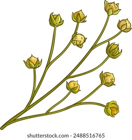 Flax Branch Colored Detailed Illustration