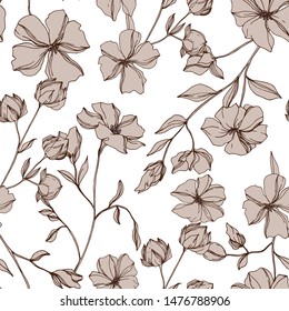 Flax floral botanical flowers on white background