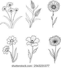 Flax flower line art vector on white backgroun  