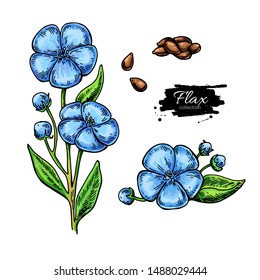 Flax flower and seed vector superfood drawing set. Isolated hand drawn illustration on white background. Organic healthy food. Great for banner, poster, label