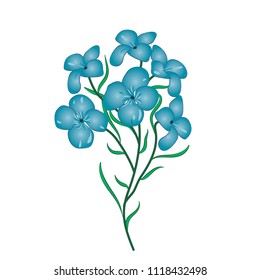flax flower vector illustration  on a white background