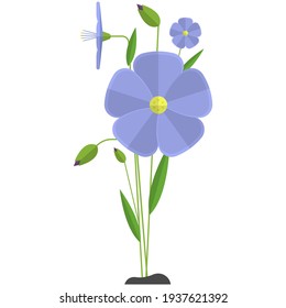 Flax Flower: imágenes, fotos de stock y vectores | Shutterstock