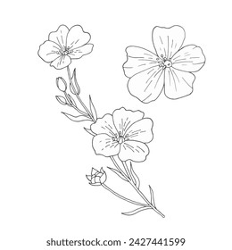 flax flowers drawn in doodle linear style