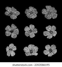 flax flowers hand drawing vector isolated on black background.