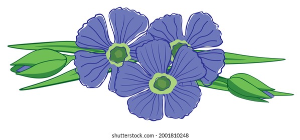 Flax flowers. Handmade vector graphics