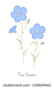 Flax flowers isolated on a white background. Blue flowers with green leaves. Summer plants. Vector illustration