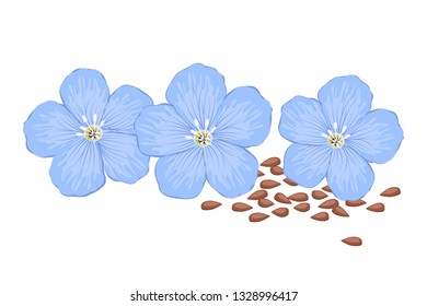 Flax flowers and flax seeds, isolated on a white background. Blue flowers. Summer plants. Vector illustration