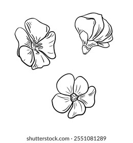 Conjunto de flores de lino Ilustración vectorial blanca negra aislada. Linum usitatissimum plantas de hierbas dibujadas a mano boceto gráfico. Bloom cabezas en el arte de línea para el aceite del paquete del diseño, producto orgánico, tienda de comestibles.