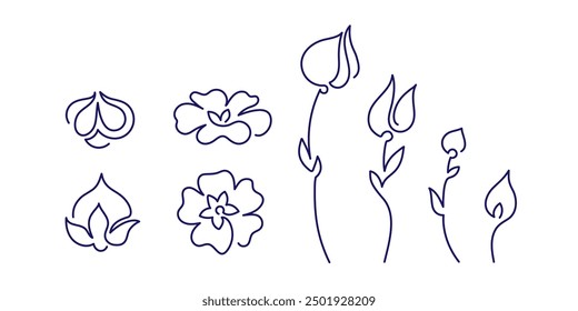 Flax line sign. Minimal nature symbol isolated on white background. Plant and flower sketch set for organic cosmetic design, medicine, beauty store. Editable stroke