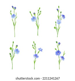 Flax or Linseed as Cultivated Flowering Plant Species with Pale Blue Flowers on Stem Vector Set