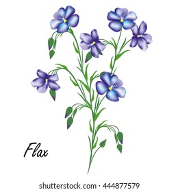 Flax (Linum usitatissimum, linseed). Hand drawn vector illustration of blue flax flowers on white background.