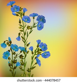 Flax plant. Blooming flax. Decoration bouquet of blooming flax. 