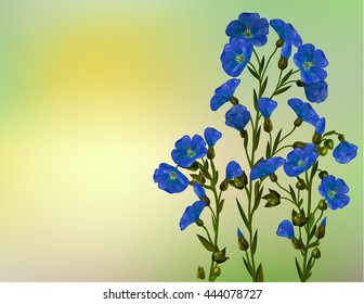 Flax plant. Blooming flax. Decoration bouquet of blooming flax. Flowering flax on a bright background