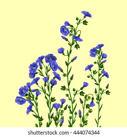 Flax plant, flowering flax, decoration of a bouquet of blooming flax