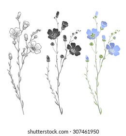  Flax plant with flowers and buds. Vector set. Hand drawn illustration, isolated elements for design on a white background.