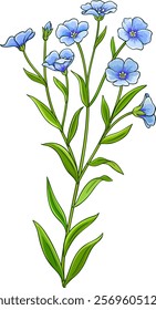 flax plant vector isolated illustration