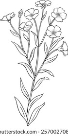 flax plant vector isolated illustration