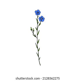Flax plant, wild field flower isolated on white, botanical hand drawn sketch vector doodle colorful illustration, art for design package organic cosmetic, natural medicine, greeting card, vegan food