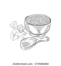 Flax seeds in bowl and scoop vector illustration. Flax seed hand drawn botanical elements.