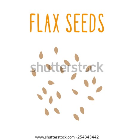 Flax seeds. Vector EPS 10 hand drawn illsutration. 